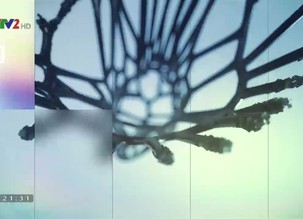 Chân trời khoa học - 06/10/2019