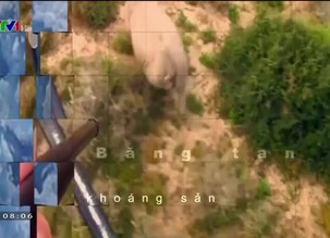 Môi trường: Vai trò của con người trong biến đổi khí hậu và thảm họa năm 2019