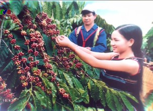 Thế giới 7 ngày - 02/02/2019