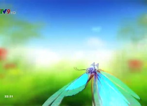 Cẩm nang sức khỏe - 30/3/2019