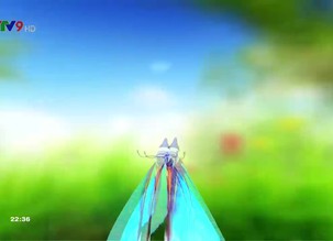 Cẩm nang sức khỏe - 18/5/2019