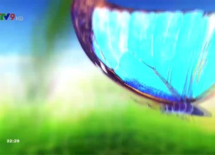 Cẩm nang sức khỏe - 25/5/2019