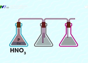 Thử thách khoa học: Bộ ba tắc kè hoa