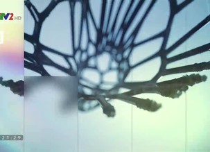 Chân trời khoa học - 22/9/2019