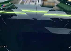 Chất lượng quốc gia: Ứng dụng CNSH để chế biến thức ăn chăn nuôi giàu lysine