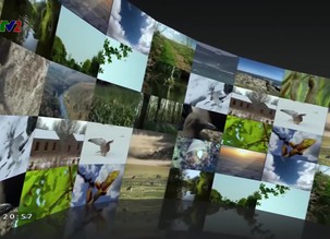 Xem và nghĩ: Lợn biển loài động vật kì lạ - Phần 2