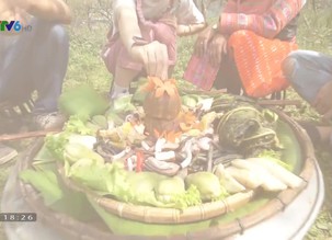 Trên từng cây số 2020: Số 13