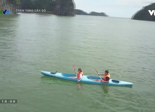 Trên từng cây số 2020: Số 14