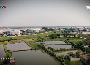 Tinh hoa nghề Việt: Làng nghề sinh vật cảnh Hồng Vân