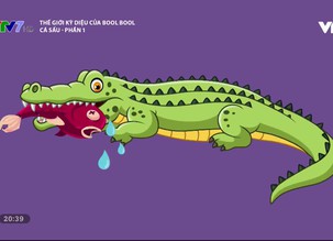 Bay lên những ước mơ - 28/02/2020