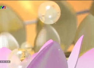 Nhớ Người - 19/5/2020