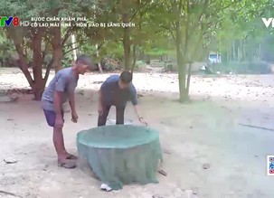 Bước chân khám phá: Cù lao Mái Nhà - Hòn đảo bị lãng quên