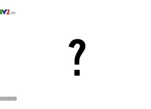 Đi đâu ? ăn gì ?: Hành trình trên vịnh Lan Hạ