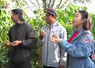 Bước chân khám phá: Nét đẹp văn hóa thành phố Ban Mê