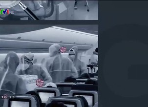 Vững vàng Việt Nam - 29/8/2020