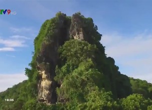 Khám phá miền Tây: Sản vật trong rừng Đước