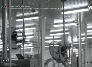 Phát triển bền vững: Sử dụng hiệu quả năng lượng cho phát triển bền vững