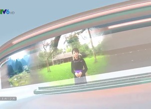 Bản tin thế hệ số - 15/10/2021