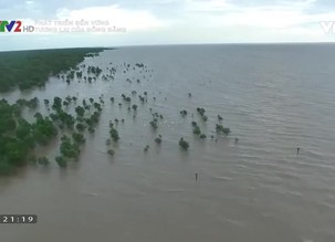 Phát triển bền vững: Tương lai của đồng bằng