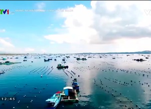 Con đường nông sản - 11/12/2021