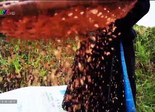 Nước non ngàn dặm: Trò chơi chạy Ró làng Guột