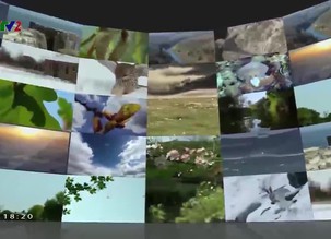 Xem và nghĩ: Những bí mật của cá mập