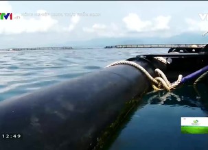 Nông nghiệp xanh, thực phẩm sạch - 25/12/2021