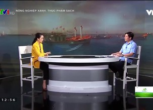 Nông nghiệp xanh, thực phẩm sạch - 31/7/2021