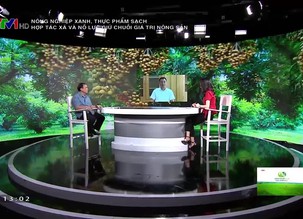 Nông nghiệp xanh, thực phẩm sạch - 28/8/2021