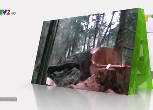 Phát triển bền vững: Chủ động phòng ngừa, giảm thiểu thiệt hại của thiên tai