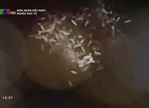 Món ngon mỗi ngày: Nghêu kho tộ