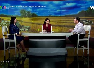 Nông nghiệp xanh, thực phẩm sạch - 26/3/2022