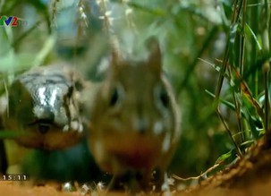 Khám phá thế giới: 10 công trình nghệ thuật kiến trúc hàng đầu - Tập 10