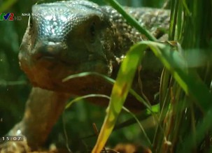 Khám phá thế giới: 10 công trình nghệ thuật kiến trúc hàng đầu - Tập 3