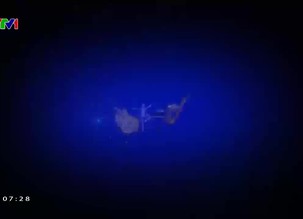 Văn học nghệ thuật: Ngọn đèn soi chính mình