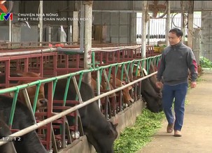 Chuyện nhà nông: Phát triển chăn nuôi tuần hoàn