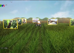 Chuyện nhà nông: Hợp tác để phát triển