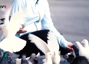 Những trái tim nhảy nhót - 28/5/2023