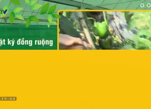 Tọa đàm : Nâng cao hiệu quả người nuôi cá biển ở ĐBSCL