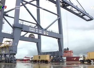 Việt Nam Logistics :Lấy lại đà tăng trưởng cho cụm cảng Cái Mép - Thị Vải