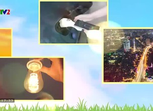 Năng lượng và cuộc sống: 		Cơ chế thúc đẩy năng lượng sinh khối