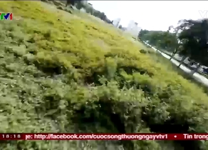 Thú chơi đua máy bay không người lái