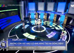 Chọn đâu cho đúng - 01/11/2021