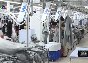 Made in Vietnam - Sản xuất tại Việt Nam - 10/9/2021