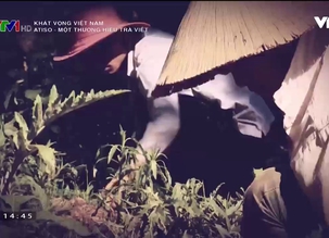 Khát vọng Việt Nam: Atiso - Một thương hiệu Trà Việt