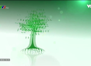 Vì một tương lai xanh - 04/12/2017