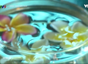 Hành trình bất ngờ - Số 37