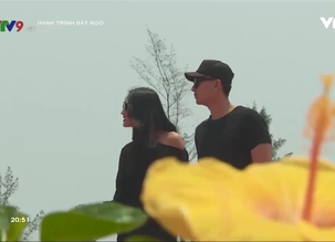 Hành trình bất ngờ - Số 42