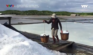 Rong ruổi đất phương Nam: Một ngày trên đảo Thạnh An