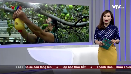 Chào ngày mới - 23/02/2018